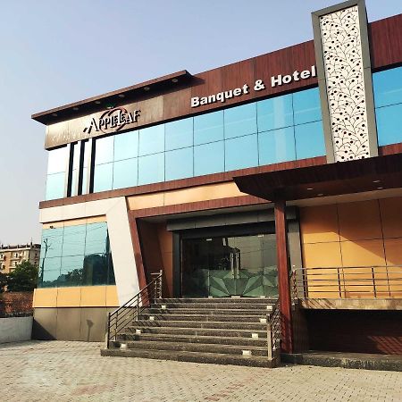 Oyo 92169 Apple Leaf Banquet & Hotel Alīgarh Exterior foto